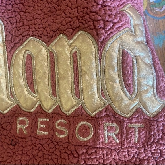 Really Cute Disneyland Resort Rose Gold Sherpa Spirit Jersey hoodie size XXL - Picture 8 of 11